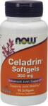 NOW Celadrin® & MSM 500 mg 120 Capsules