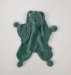 Tolo Toys Ace de iepure - verde