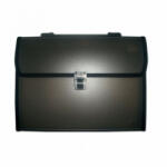Daco Mapa plastic 12 compartimente DACO mp312n (MP312N)
