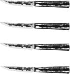 Forged Нож за пържоли INTENSE, комплект 4 бр. , Forged (FORGEDSDV623231)