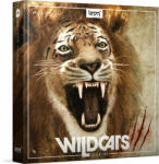 BOOM Library Wildcats