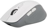 Delux M729DB Mouse