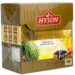 Hyson Black Tea Graviola Magic 20 filter
