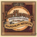 Ernie Ball P02065 - Earthwood Mandolin 80/20 Bronze Loop End - Medium - H932H