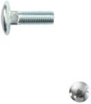  Kapupánt csavar 8x25 (DIN 603, 4.8 - horganyzott)