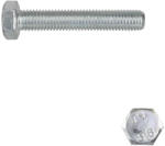  Hatlapfejű tövigmenetes csavar M10x55 - 8.8 (DIN 933, horganyzott)