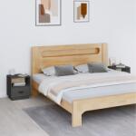 vidaXL Noptiere, 2 buc. , gri, 40x34x45 cm, lemn masiv de pin (818300)