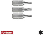 Fortum 4741410 torx TX10x25 mm bit 3 db-os (1/4") (4741410)