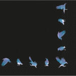 Amscan Șervețele - Corbi holografici 33 x 33 cm 16 buc
