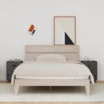 vidaXL Noptiere, 2 buc. , gri, 40x34x55 cm, lemn masiv de pin (818310)