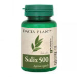 DACIA PLANT Salix 500 - 60 cpr