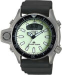 Citizen JP2007-17W Ceas