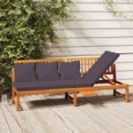 vidaXL Pat de zi cu perne gri, 200x60x75 cm, lemn masiv de acacia (312145)