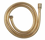 Ferro Furtun flexibil pentru duș, auriu - W35 - Ferro (W35)