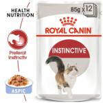 Royal Canin Instinctive Jelly hrana umeda in aspic pentru pisica 85 g