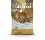 Taste of the Wild Hrană uscată pisici TASTE OF THE WILD Canyon River fără cereale cu pastrav si somon afumat 6.6 kg