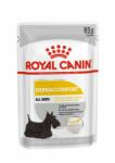 Royal Canin Dermacomfort Loaf hrana umeda caine adult pentru prevenirea iritatiilor pielii 85 g