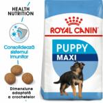 Royal Canin Maxi Puppy hrana uscata caine junior 1 kg