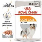 Royal Canin Coat Care Adult hrana umeda caine pentru blana sanatoasa si lucioasa 12 x 85 g
