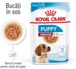 Royal Canin Medium Puppy Gravy hrana umeda caine junior de talie medie 10 x 140 g