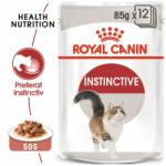 Royal Canin Instinctive Gravy hrana umeda in sos pisici plicuri 12 x 85 g