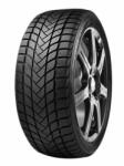 Delinte WD1 215/65 R16 98H