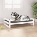 vidaXL Pat pentru câini, alb, 105, 5x75, 5x28 cm, lemn masiv de pin (821488) - vidaxl