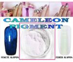 Master Nail's Master Nails Cameleon Pigment Por Körömdísz / Cameleon Pigment / 12