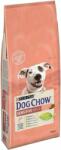 Dog Chow Sensitive lazachússal (2 x 14 kg) 28 kg