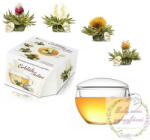 Creano virágzó tea szett csészével és 8 db virágzó fehér teával