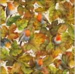 AMBIENTE Szalvéta 33x33cm 20db/csomag Hidden Robins, Rejtett vörösbegyek (AMB.13316850)