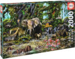 Educa Puzzle Educa din 2000 de piese - Jungla africana, John Enright (EDU16013) Puzzle
