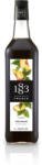 1883 Szirup 1l Ice Tea Barack