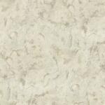 Rasch Тапет за стена нетъкан BLACK FOREST Rasch 514605