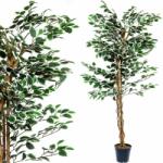 PLANTASIA Planta de copac artificial - ficus - 160 cm (40010166)