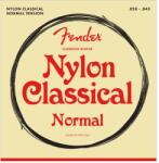 Fender 730100400 - Nylon Acoustic Strings, 100 Clear/Silver, Tie End, Gauges . 028-. 043, (6) - FEN073