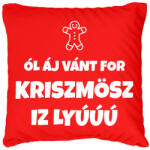 printfashion All I Want For Christmas - Párnahuzat, Díszpárnahuzat - Piros (9953551)
