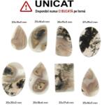  Cabochon Agata Muschi Indonesia Natural - Neregulat - Picatura - Oval - Dreptunghi- 22-30 x 16-20 x 3-6 mm - 1 Buc