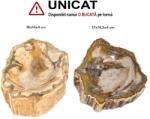  Bol din Fosil Lemn Mineral Natural - 17-18 x 13-14, 5 x 4 cm - 1 Buc Castron
