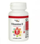 DACIA PLANT Vitamina B cu drojdie si polen - 60 cpr