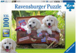Ravensburger Rest 100 buc (2410538) Puzzle
