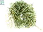  Prehnit cu Epidot Margele Pietre Semipretioase Disc Fatetat - 1, 6-3 x 3-4 mm