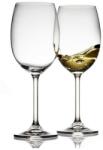 Bitz Pahar pentru vin alb, set de 2 buc, 450 ml, Bitz (911938) Pahar