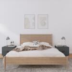 vidaXL Noptiere, 2 buc. , gri, 40x34x35 cm, lemn masiv de pin (818290)