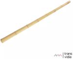  Bambusz karó d: 10-12mm 120cm 3db/csomag