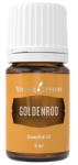 Young Living Goldenrod 5ml