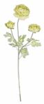 Bizzotto Set 12 flori artificiale Ranunculus verde 61 cm (0171325)