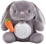 Chipolino Rabbit PIL02010RABB