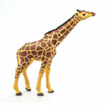 Papo Figurina Girafa Cu Cap Ridicat (Papo50236) - ejuniorul Figurina