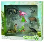 CollectA Set de 8 figurine Wild Life (COL84098WB) Figurina